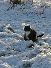 IMG_20211128_105628.jpg
