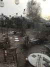 1EE6DFA5-39FC-4218-80D0-B58D5E29DE17.jpeg
