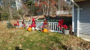 20211202_115634.jpg
