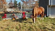 20211205_113658.jpg