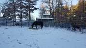 20211209_074751.jpg