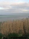 IMG_20211219_102337.jpg