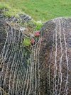 IMG_20211219_104622.jpg