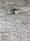 IMG_20211219_112440.jpg