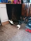 IMG_20211219_113919.jpg