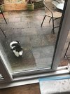 0D0B1257-5691-4862-BE81-6B014BCFBF2B.jpeg