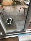 CFA8F023-06C7-4DEA-8BD2-D5555245FB16.jpeg