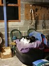IMG_20211229_185735.jpg