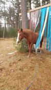 20220307_084504.jpg