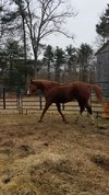 20220309_085822.jpg