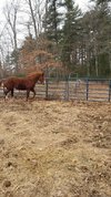20220309_085911.jpg
