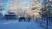 20220310_071159.jpg