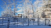 20220310_073340.jpg