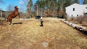 20220321_110230.jpg