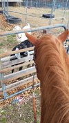 20220326_101418.jpg 20220326_101418.jpg