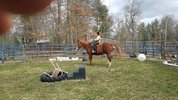 20220326_103347.jpg 20220326_103347.jpg