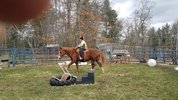 20220326_103417.jpg 20220326_103417.jpg