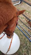 20220326_103920.jpg 20220326_103920.jpg