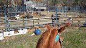 20220327_111652.jpg 20220327_111652.jpg