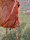 20220403_100734.jpg 20220403_100734.jpg
