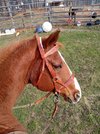 20220403_100924.jpg 20220403_100924.jpg