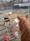 20220403_101822.jpg 20220403_101822.jpg