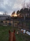 20220404_191202.jpg 20220404_191202.jpg