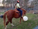 20220404_190014.jpg 20220404_190014.jpg
