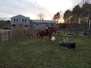20220404_190203.jpg 20220404_190203.jpg