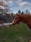 20220404_184028.jpg 20220404_184028.jpg