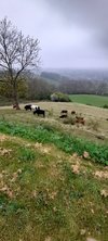 20220503_070224.jpg