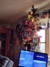 20221203_140803.jpg