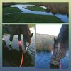 photostudio_1670345461273.jpg