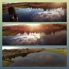 photostudio_1670523772602.jpg
