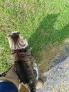 IMG_20220802_171344.jpg
