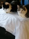 IMG_20220812_202633.jpg