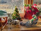 20221230_131208.jpg 20221230_131208.jpg