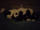 IMG_20221231_072308.jpg