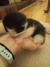 IMG_20230107_061917.jpg