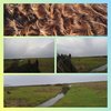 photostudio_1673631602986.jpg