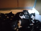 IMG_20230117_091854.jpg