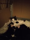 IMG_20230117_212112.jpg