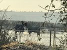 IMG_1180.JPG
