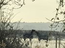 IMG_1195.JPG