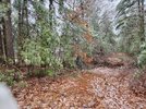 20230223_082359.jpg