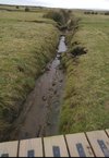 _20230223_162051.JPG