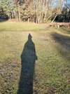 20230226_084633.jpg