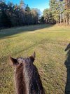 20230226_084637.jpg