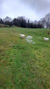 20230331_180956.jpg
