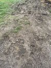 IMG_1269.JPG IMG_1269.JPG